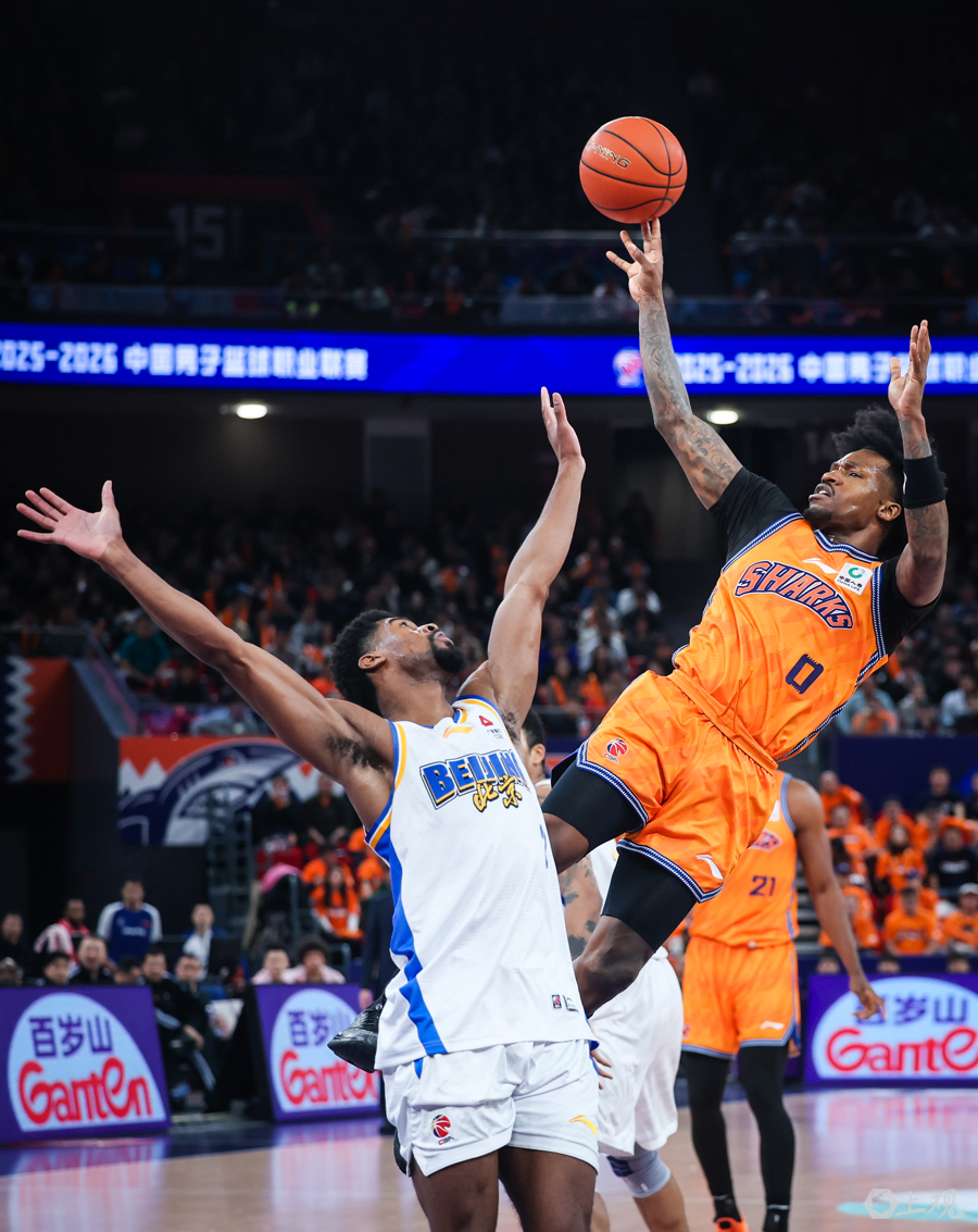 开云中国-英超焦点对决伊普斯维奇vs纽卡斯尔联