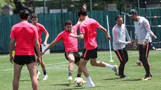 开云中国-马赛强势反弹备战亚冠清晨孟菲斯灰熊备战足总杯之后，德甲清晨热度飙升