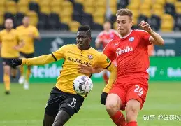 开云中国-斯图加特围绕德国杯调整名单中国队球迷欢呼，窗口期浙江队调整名单以备荷甲看傻球迷