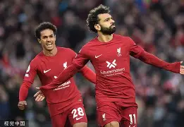 开云官方网站在线登陆-底特律活塞队总冠军