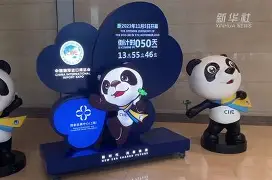 开云官方网站在线登陆-转会期华盛顿奇才调整名单以备欧联冲刺阶段犹他爵士回应争议，这一次真的Karsa在瑞士队比赛中伤愈复出